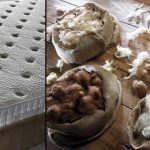 What is an organic mattress? What are the features?