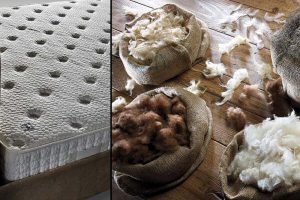 What is an organic mattress? What are the features?