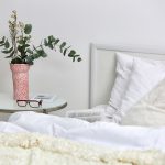 Plants To Be In Your Bedroom (8 Large Plants)