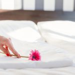 Bed Cleaning Tips