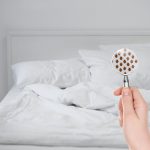 Suggestion From Scientists To Keep Bed Bugs Away From Homes